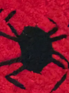 spider- guy