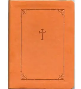 USED-NIV Compact Thinline Reference Bible, Italian Duo-tone, Tan by Anonymous (Unknown)