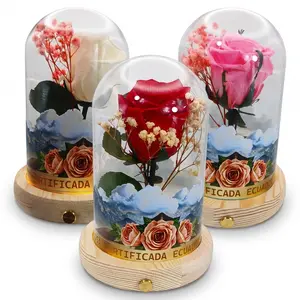 Ecuadorian Eternal Rose in Glass Dome with LED Lighted Wood Base - Real Preserved Flower Gift for Anniversary, Birthday, Mother's Day & Valentine's - Premium Luxury Decor