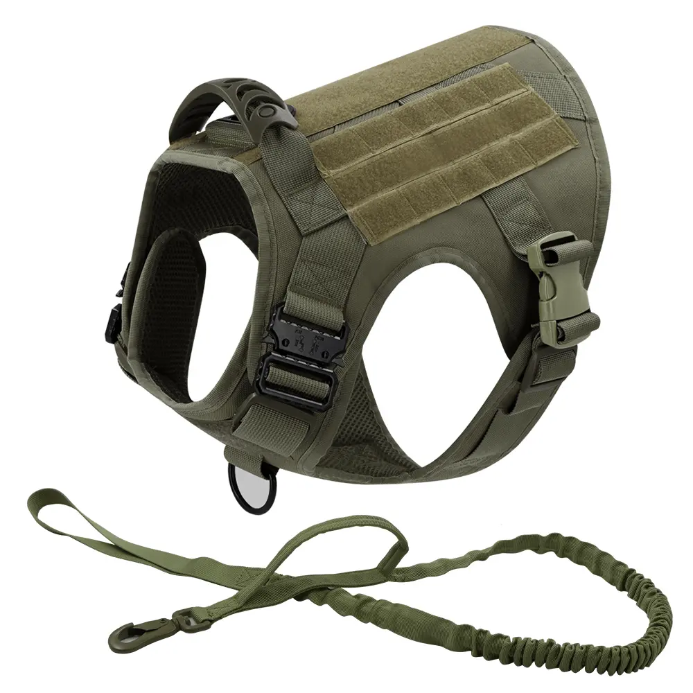 Green Harness with Leash