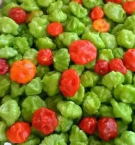 Pepper Seeds - AJI DULCE , Ajicito , Sweet