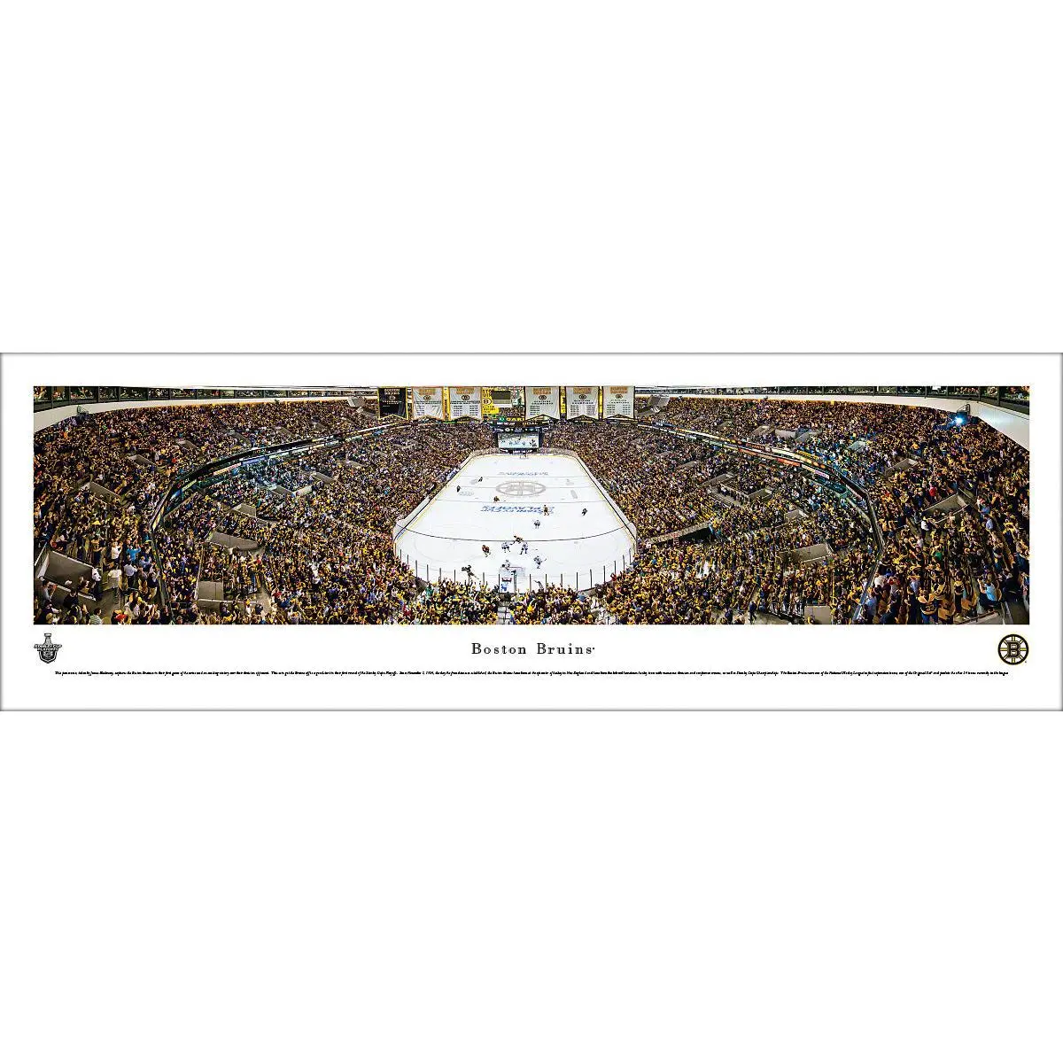 Boston Bruins TD Garden Panoramic Picture