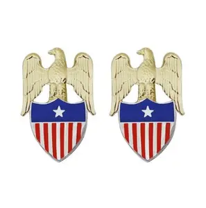 U.S. Army Aide to Brigadier General STA-BRITE® Pin-on (pair)
