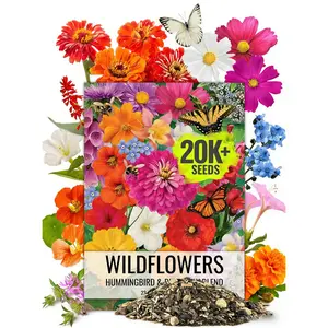 Seed Needs Flower Seeds Hummingbird and Butterfly Seed Mix 1 Ounce No Filler | 23 Varieties Garden Seeds Annual & Perennial Species | Pollinator Attracting Flowering Seed | Bulk Resealable Package