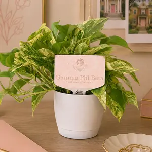 Gamma Phi Beta Motto Color Plant Stake