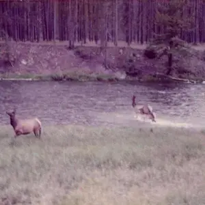 SEAHAVEN - WINTER FOREVER Vinyl LP