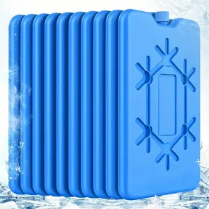 Large Capacity Ice Bag with Ice Crystals, Reusable Cooling Mat for Food Preservation, Ideal for Outdoor Events and Air Conditioning Tools, Ice Packs