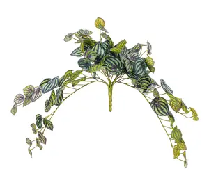 Vickerman 25" Peperomia Piccolo Bush UV