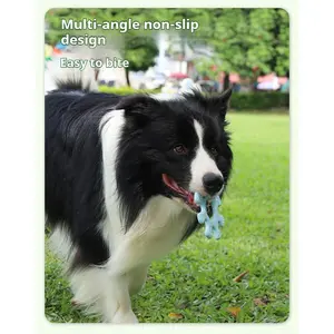 Durable Dog Frisbee – Interactive Flywheel Toy for Exercise & Pet Bonding