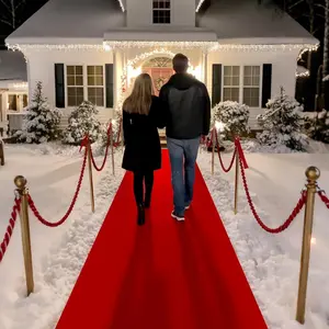 Red Carpet Runner for Party 140GSM Polyester Fabric Decorations for Hollywood Theme Party Runway Rug Prom Aisle Rug (Red, 3 X10 FT)