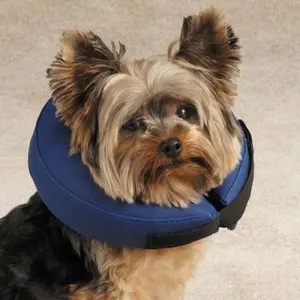 Inflatable Dog Collar XL - Protective Recovery Cone Alternative