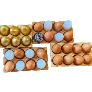 Super Cute Egg Crate Magnets - Assorted Colors & Styles for Decorative Use