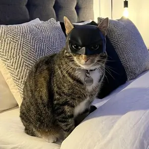 Batman Cat Costume Hat – Cute Pet Superhero Mask for Cats & Small Pets