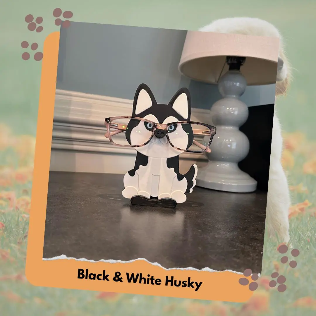 Black and White Husky