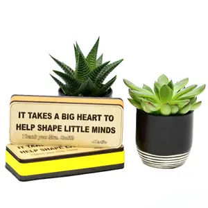 Personalized Magnetic Whiteboard Eraser