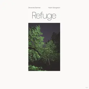 Devendra Banhart - Refuge  [VINYL RECORD - LP]