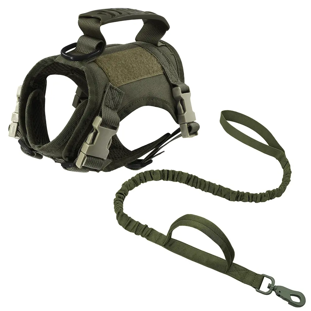 Green Harness and Leash