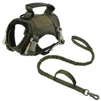 Green Harness and Leash