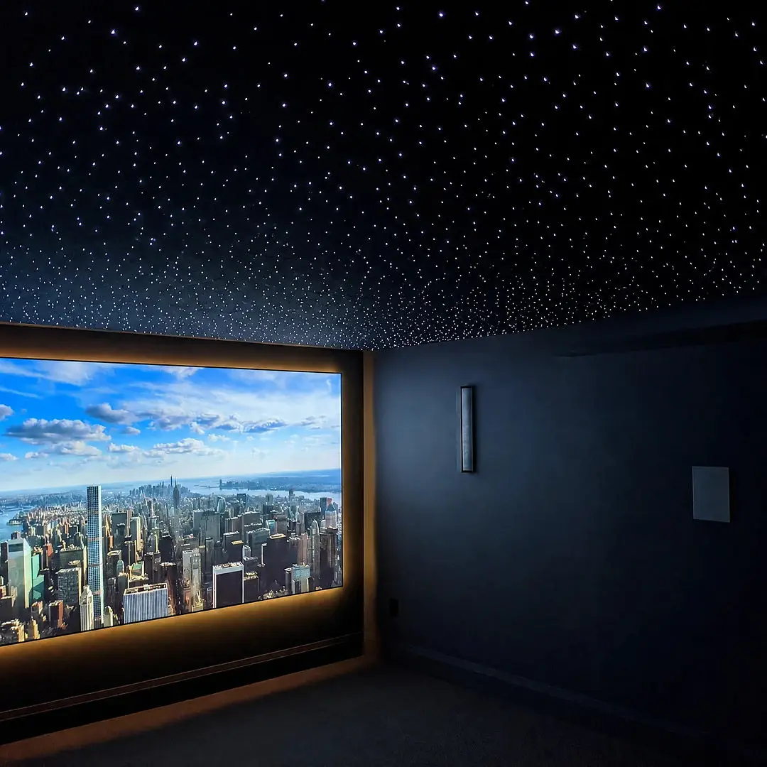 Starlight Ceiling Panel
