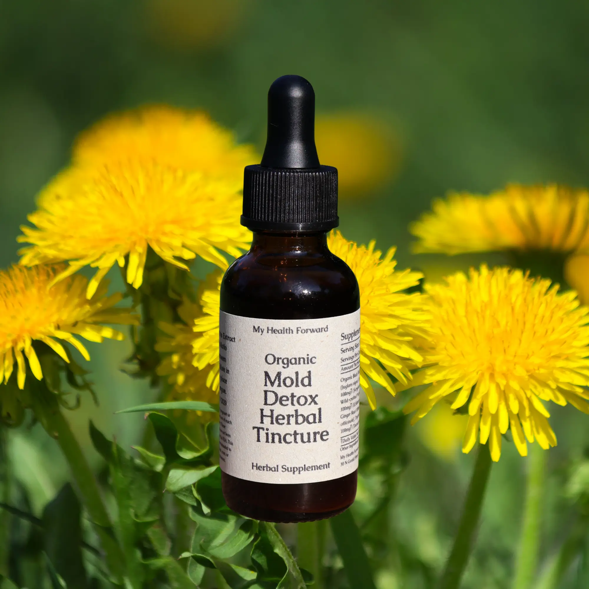 Organic Mold Detox Herbal Tincture - Herbs for Detox Support Organic Mold Detox Herbal Tincture - Herbs for Detox Support
