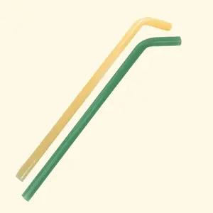 Glass Straw Variety 2-Pack