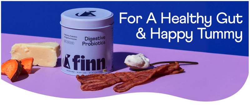 FINN Digestive Probiotics for Dogs - Complete Digestive System Support with 6 stains  Live Probiotics, Pumpkin & Prebiotics - Vet Recommended - 90 Soft Chews – Canine Nutritional Supplement