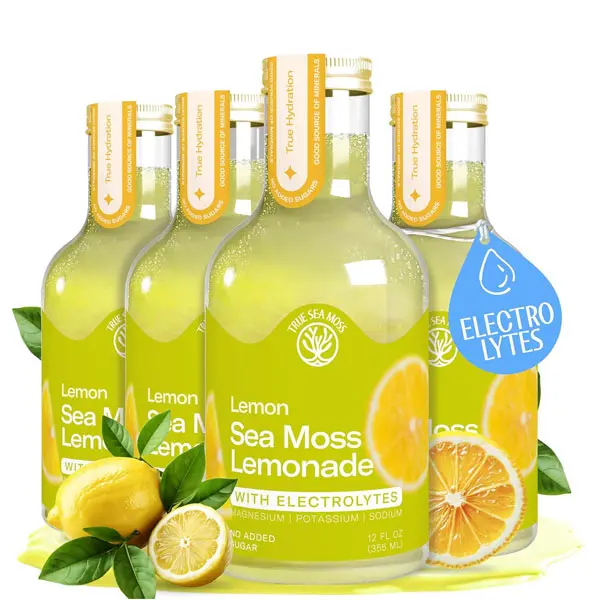 True Sea Moss Lemon Lemonade – Single Flavor Pack with Classic & Electrolyte Formula Variation – 4 × 12 fl oz Bottles
