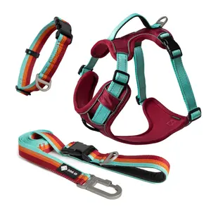 DOG iD Complete No-Pull Harness Bundle - Premium Nylon Dog Walk Kit for Safety, Comfort, and Control - No-Pull, Escape-Proof, Reflective Design, All Day Comfort, Easy to Clean - 4 Sizes
