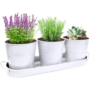 Indoor  Garden Planter Set - 3 Pack 4.7" White Metal  Pots with Drainage Holes & Removable Tray - Windowsill Kitchen Counter Balcony Office Garden