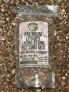 Lithops Living Stone Premium Potting Mix