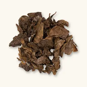 Natural Fermented Catappa & Indian Almond Leaves (20c) by Betta Botanicals for Shrimp Tanks & Blackwater Aquariums