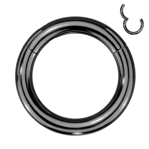 Titanium 6g Septum Ring - 10154
