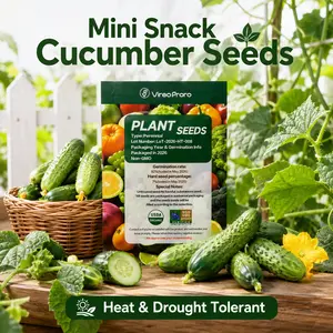 Mini Snack Cucumber Seeds, Heat & Drought Tolerant, High Germination, Crisp Mini Cucumbers, 50 Seeds for Pots & Garden Use