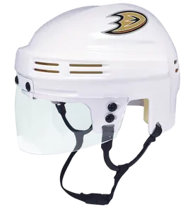 Anaheim Ducks NHL Collectible Mini Helmet - Picture Inside - FANZ Collectibles