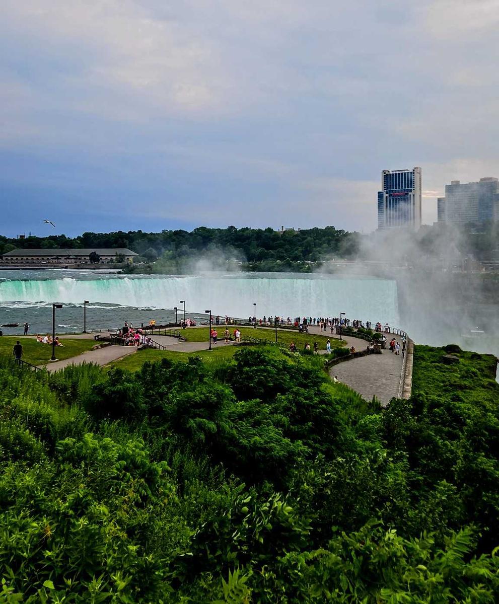 Item: Coffee Brown, L