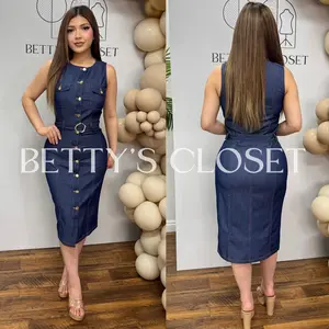 Ericka Denim Dress