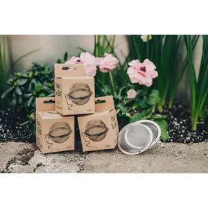 Stainless Steel Tea Ball - 3 inch