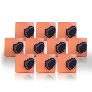 Vegan Natures Crafted Soaps (10-Pack) Collection.  Buy One Pack or get them All! Lavender Skin Repair