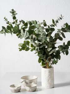 50 Baby Blue Eucalyptus Seeds - Blue Foliage Eucalyptus Flower Seed Pack, Aromatic Leaves, Dried Floral Use, Perennial Silvery Accent for Gardens