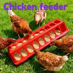 1 porous feeding box for chickens, chick brooding trough, feeder for long porous birds, anti-looting chicken trough