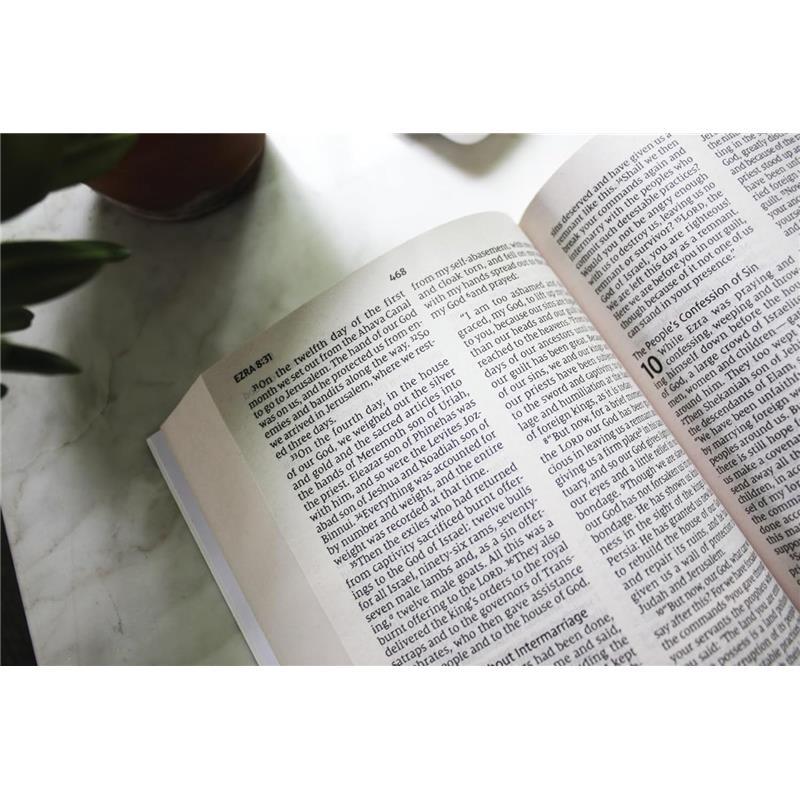 NIV, Holy Bible, Larger Print, Economy Edition, Paperback, Teal/Tan, Comfort Print