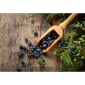 Juniper Berries & Tobacco - Premium Fragrance Oil
