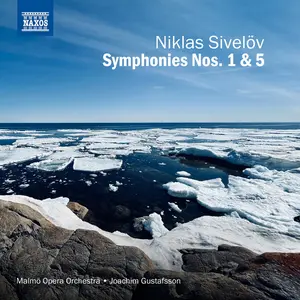 Malmo Opera Orchestra - Symphonies Nos. 1 & 5  [COMPACT DISC - CD]