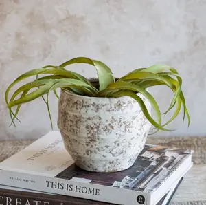 Mottled Planter