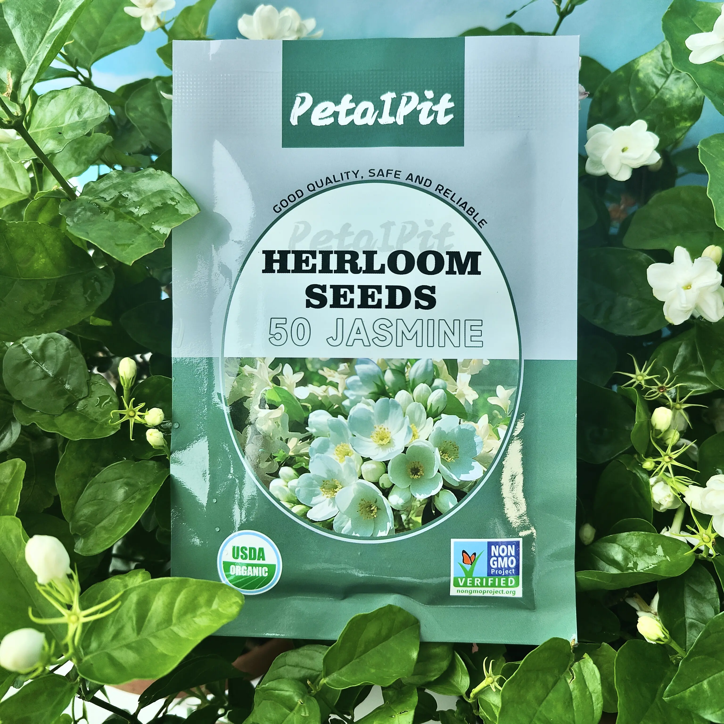 50 Non-GMO Fragrant Jasmine Flower Seeds - Low Maintenance Flowers, Pleasant Aroma, Suitable for Small Gardens & Indoor Cultivation, Top Horticulture Garden Supplies