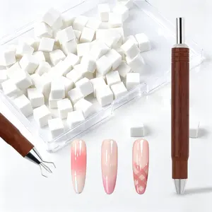 BQAN Nail Sponges for Ombre: Nail Art Sponges with Storage Box Grabbing Pen Ombre Nail Sponge Gradient Nail Tools Aura Nails Ombre Nail Brush Accessories Supplies Home DIY Nail Art Salon
