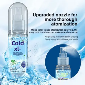 Cooling Spray for Students and Office Workers, Portable Cooling Device, Heat Relief Mist, Personal Cool Down Tool, Summer Essential