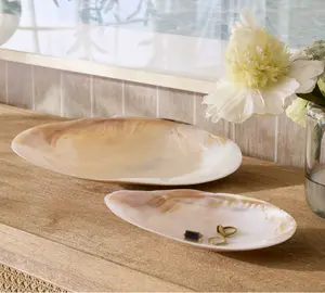 Polished Decorative Shell Small - 9"W