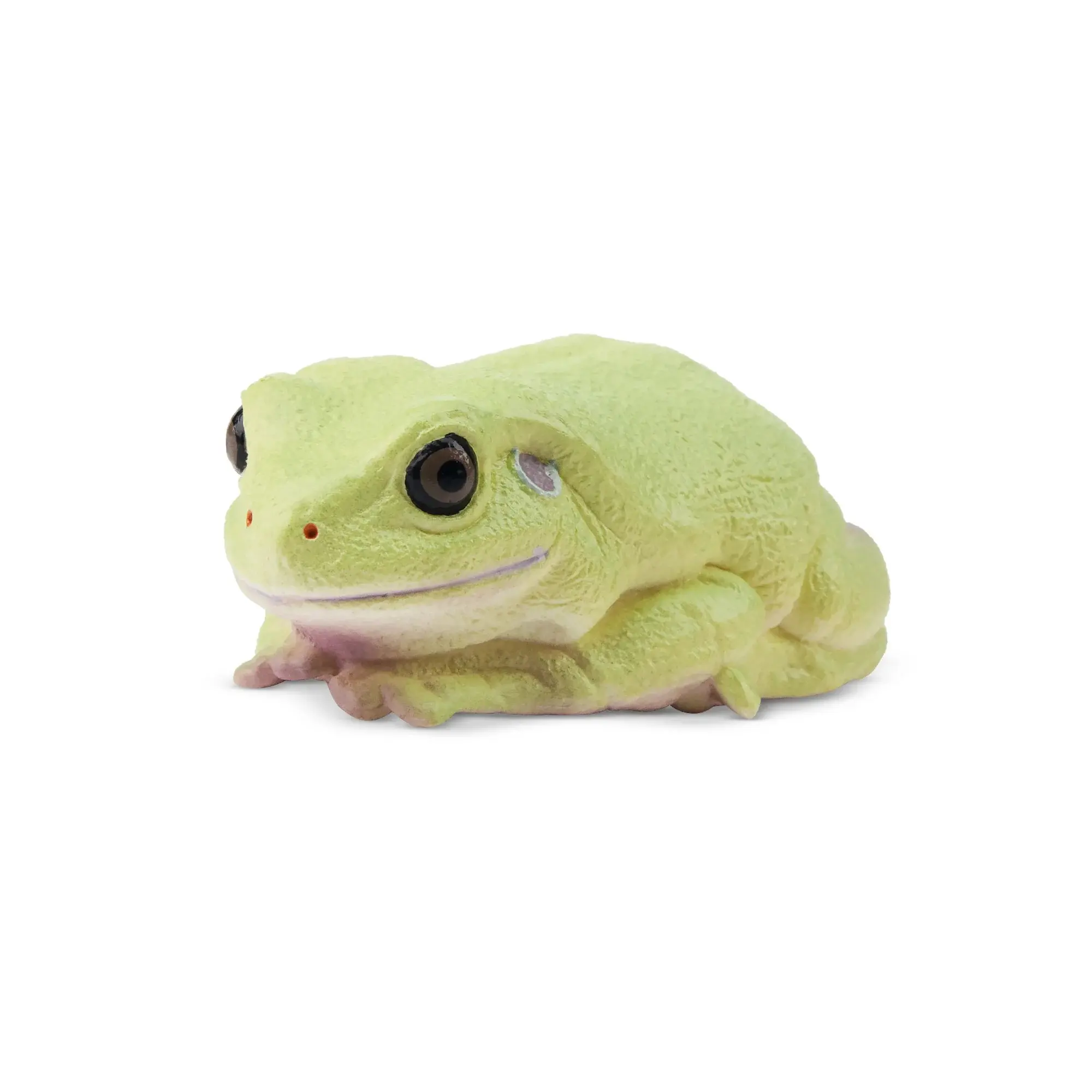 Toymany Hand-Painted Plastic Australian Green Tree Frog Figurine - Realistic Amphibian Model, Unisex Early Ed. Montessori Toy, Cake Decor Ornaments, Thoughtful Collectible Gift