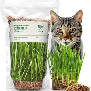 Organic Wheat Grass Seeds for Indoor Cats - Cat Grass Seeds - 16 Ounces - 100% Organic Non-GMO - Hard Red Wheat - Harvested in USA - Easy to Grow